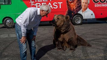 John Cox campaigning along a Kodiak bear.