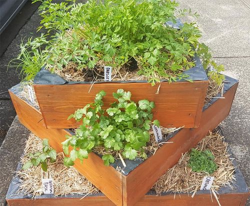 Mr Everett has also set up a garden offering free herbs.