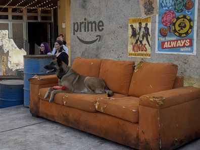 Fallout premiere Sydney