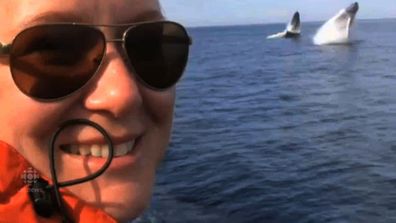 A whale watcher takes her eyes off the ocean for a split second to pose in front of her video camera, missing a very rare synchronised double breach. (Supplied)