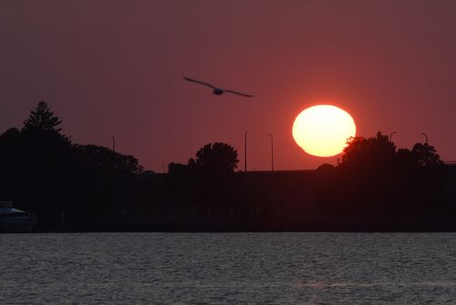 A picture of the sun over the Captain Cook Bridge, as the heat in Sydney is expected to linger. (AAP)