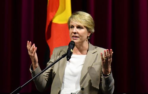 Deputy Labor leader Tanya Plibersek said more needed to be done.