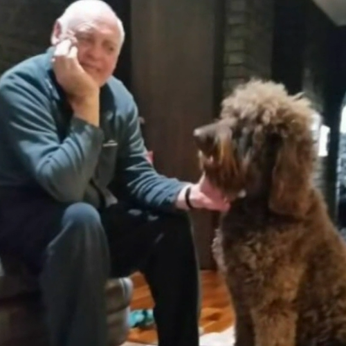 Michael Day y su perro Messi fueron alcanzados por un rayo en WA