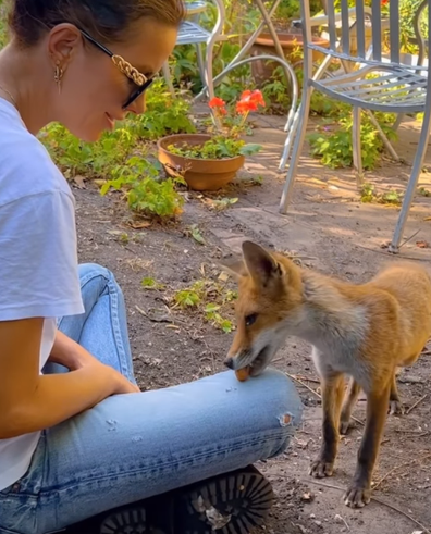 Kate Beckinsale shares adorable video of her and her fox friend.