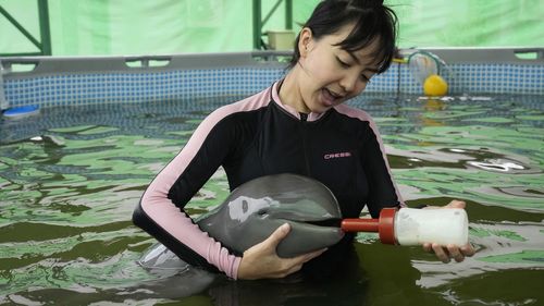 Volunteer Thippunyar Thipjuntar feeds a baby dolphin named Paradon with milk at the Marine and Coastal Resources Research and Development Center in Rayong province in eastern Thailand.