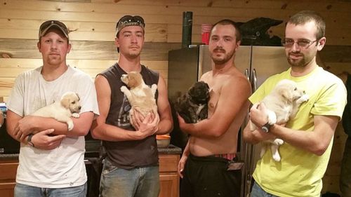 Men adopt stray puppies found while celebrating bachelor party in woods
