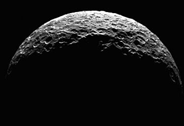 Which of the main asteroid belt's largest objects is classified as a dwarf planet?