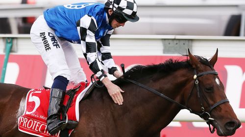 Jockey Ryan Moore congratulates Protectionist after the race. (AAP)