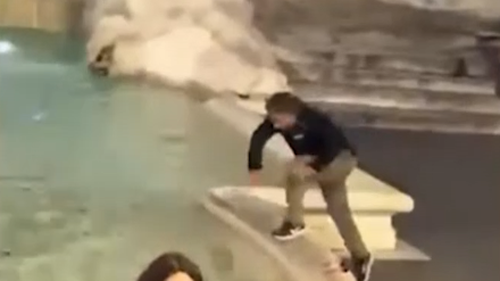 A Kiwi tourist has been fined after jumping into Rome's Trevi Fountain.﻿