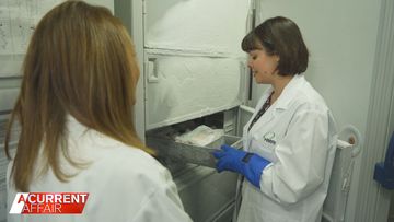 Inside the biobank where researchers hope to find a cure for brain cancer