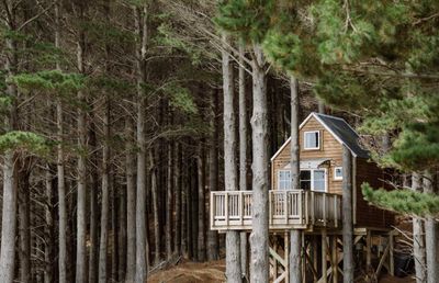 2. Raglan Treehouse in the Woods with Outdoor Bath – Raglan, Waikato