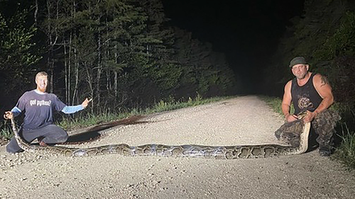 Python hunters Kevin Pavlidis, left, and Ryan Ausburn hold their record-breaking 18-foot, 9-inch python caught as part of Florida's Python Elimination Program.