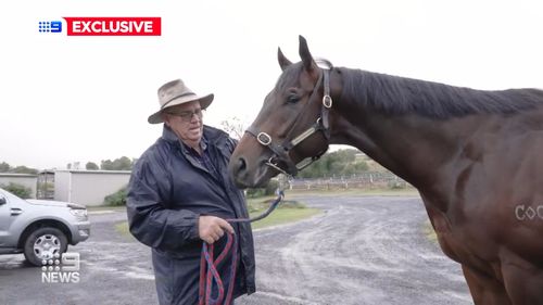 After winning $40 million on Lotto, a Queensland man has fulfilled his dream of owning a racehorse - and is now standing to win even more money.Former disability worker Cliff Little, from Cairns, scooped a $40m powerball jackpot four years ago.
Now a horse he bought with his winnings is set to run a prestigious race﻿ with a $1m prize.