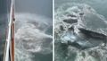 Cruise ship damaged after Alaska iceberg crash