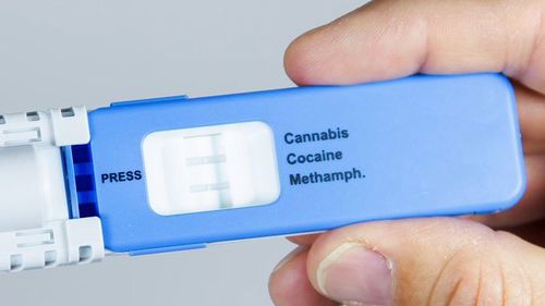 Cocaine testing in Queensland