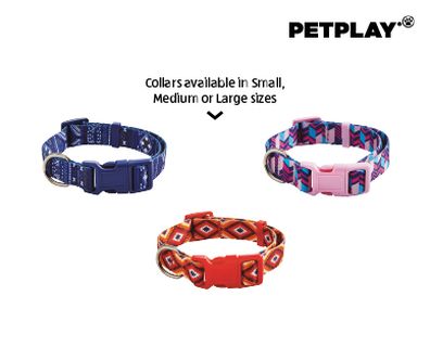 Assorted Dog Leads and Collars from Aldi.