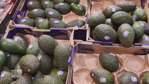 Avocado prices drop after surplus in Queensland.