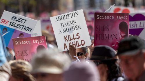 The proposed bill would take abortion out of the criminal code and make it a health issue, allowing women to terminate pregnancies up to 22 weeks' gestation.