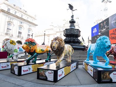 Lion sculptures on display at the launch of the Tusk Lion Trail, a global art installation in support of African conservation, on August 10, 2021 in London