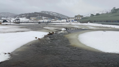 Perisher Creek burst its banks as heavy rain lashed the NSW alps.