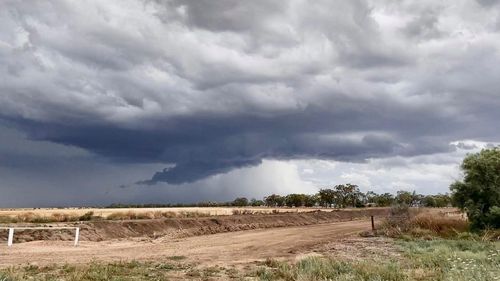 Storm clouds roll over Moree in northern New South Wales. The Bureau of Meteorology has shared this image, which was sent in by Wild Lil Image (@wildlil.i on Instagram).