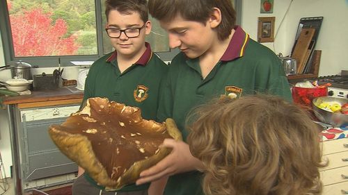 An Adelaide Hills family could be set for the record books after discovering a massive mushroom on their property. 