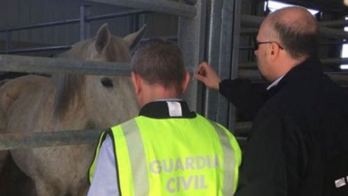 Police smash Europe-wide horsemeat racket