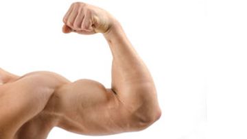 Does training one bicep grow the other?
