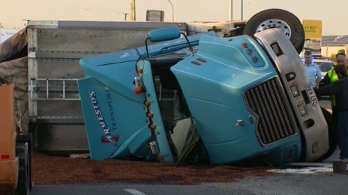 The truck rollover spilled several tonnes of woodchip on the road at Rocklea.