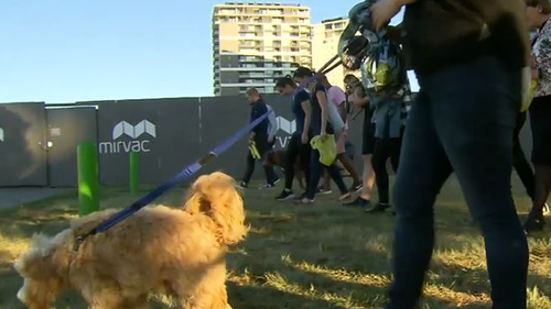 Dog owners scour the lawns of Waterfront Park for poison. 