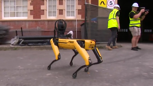 Robot Spot workplace safety