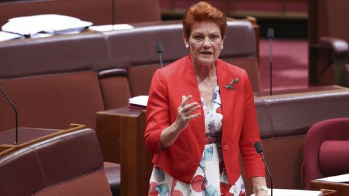 One Nation lideri Senatör Pauline Hanson. 
