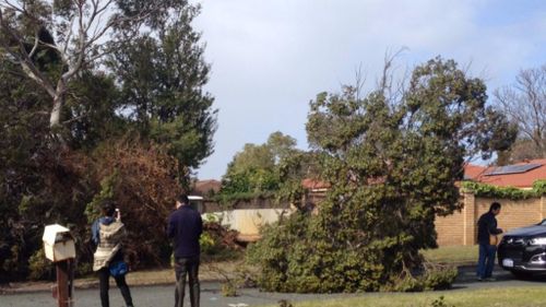 Thousands of properties left without power as severe winds hit Western Australia  