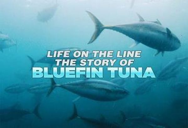 Life on the Line: The Story of Bluefin Tuna