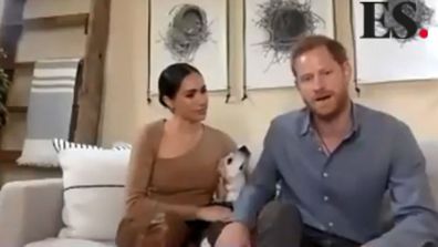 Meghan's dog, Guy, jumped up onto the couch during the zoom interview from their Santa Barbara home in California