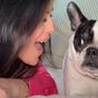 Horrifying TikTok trend involving dogs prompts warning