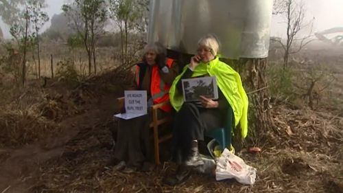 Isabel Mackenzie and Helen Lewers chained themselves to the tree in protest against plans by VicRoads to chop it down. (9NEWS)