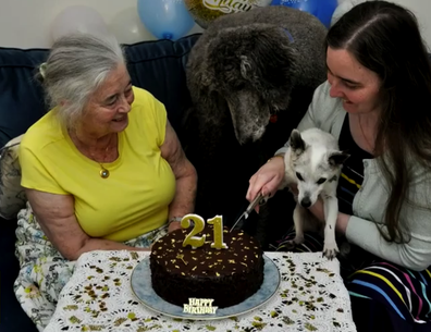 Australia's oldest dog, 21-year-old Trixie