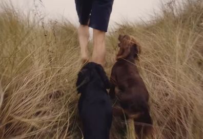 william and kate video dogs