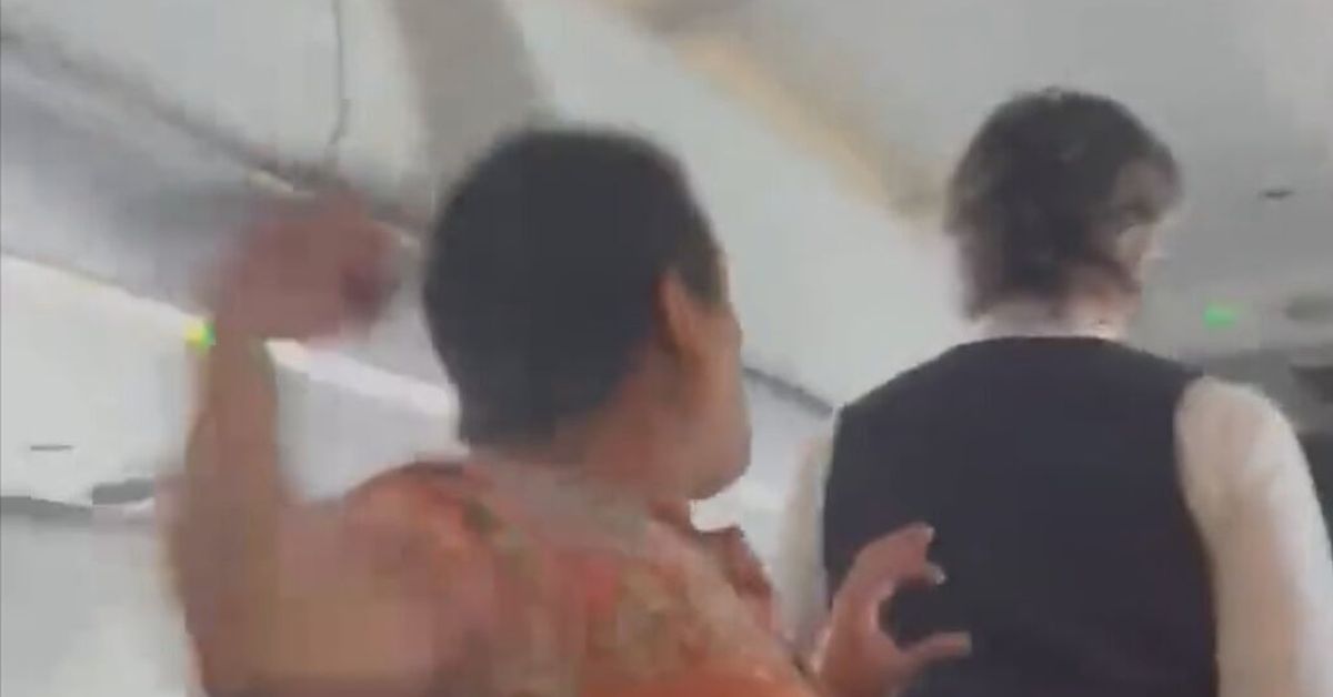 Passenger arrested after seen punching a flight attendant - 9News