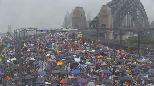 A shot from above shows the scale of the protest, as thousands joined to march across the Sydney Harbour Bridge for pro-Palestine.
