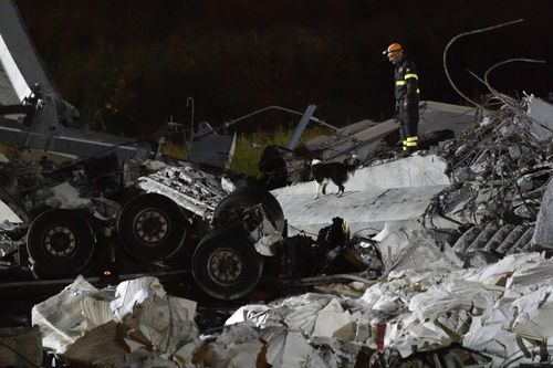 A rescuer and his dog search through the rubble as night draws in. Picture: AP