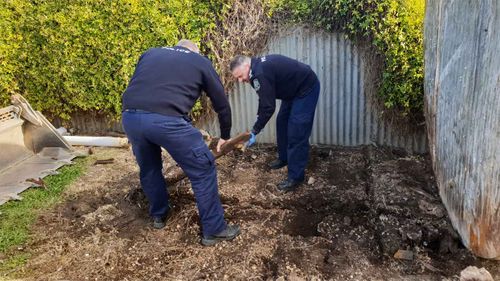 Police officers dig up part of the backyard in Maitland, South Australia, where Colleen Adams used to live.