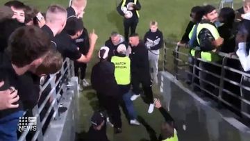 The scuffle caused mayhem in the stands just weeks after spectators were banned following a similar brawl at another club.
