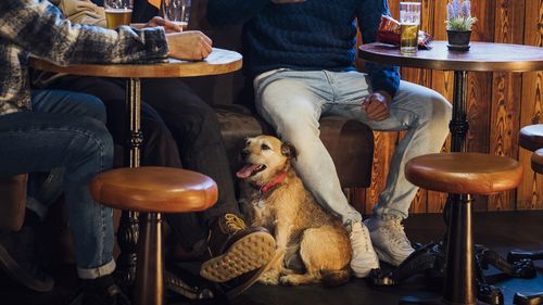In the cozy ambiance of a pub in Northumberland, England a small group of men are gathered around a table enjoying pints of beer, they are wearing casual clothing and smiling while unwinding and having a chat, the pub is dog friendly.