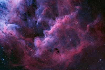 Suburbs of Carina Nebula