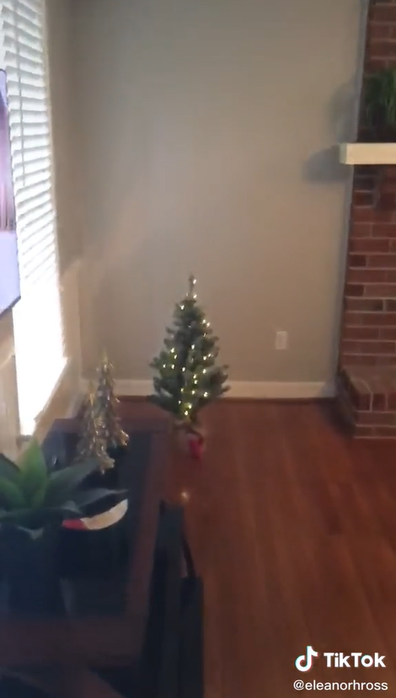 A man has been left severely disappointed this festive season, after ordering the wrong size Christmas tree.