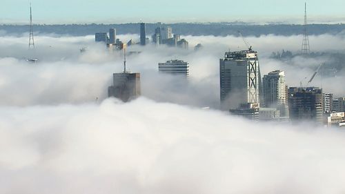 Sydney awoke to a thick blanket of fog over the city this morning.