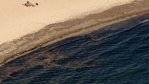 New ‘poo warning’ issued for five Melbourne beaches