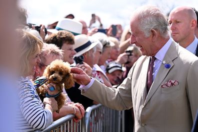 King Charles III strokes a well wisher's dog during his visit to Sandringham Flower Show at Sandringham House on July 26, 2023 in King's Lynn, England.  
